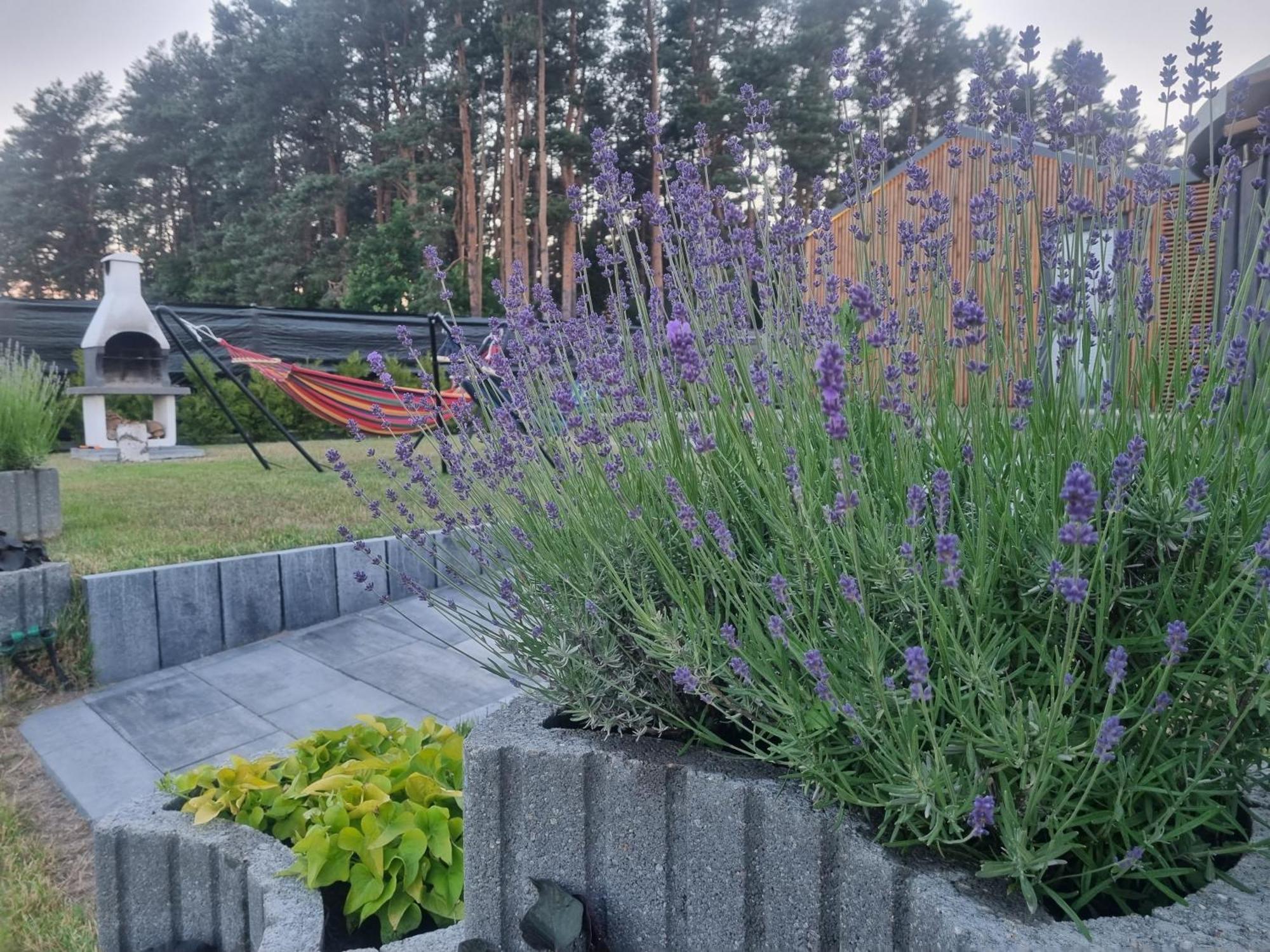 Domek Wakacyjny, Nad Morzem Z Balia, Lawendowe Wzgorze, Karwieńskie Błoto Exterior foto